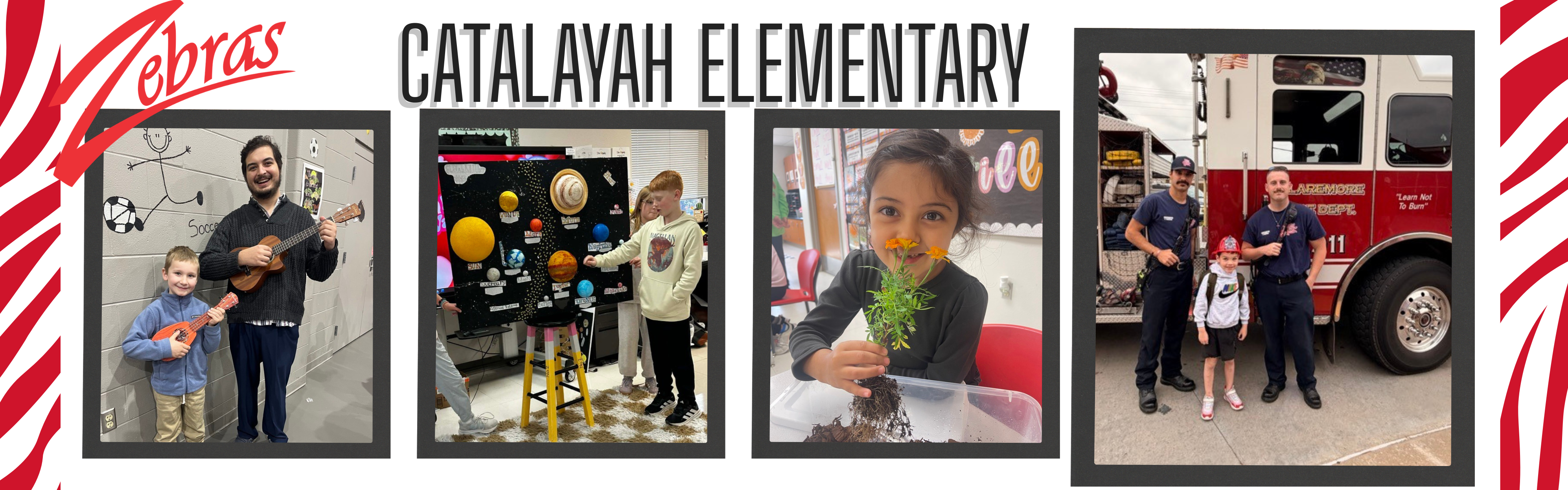life at catalayah