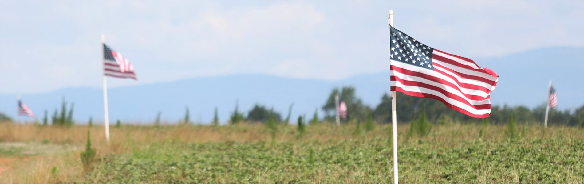 A Beautiful Scene in Our Community of American Flags with the Mountains in the background
