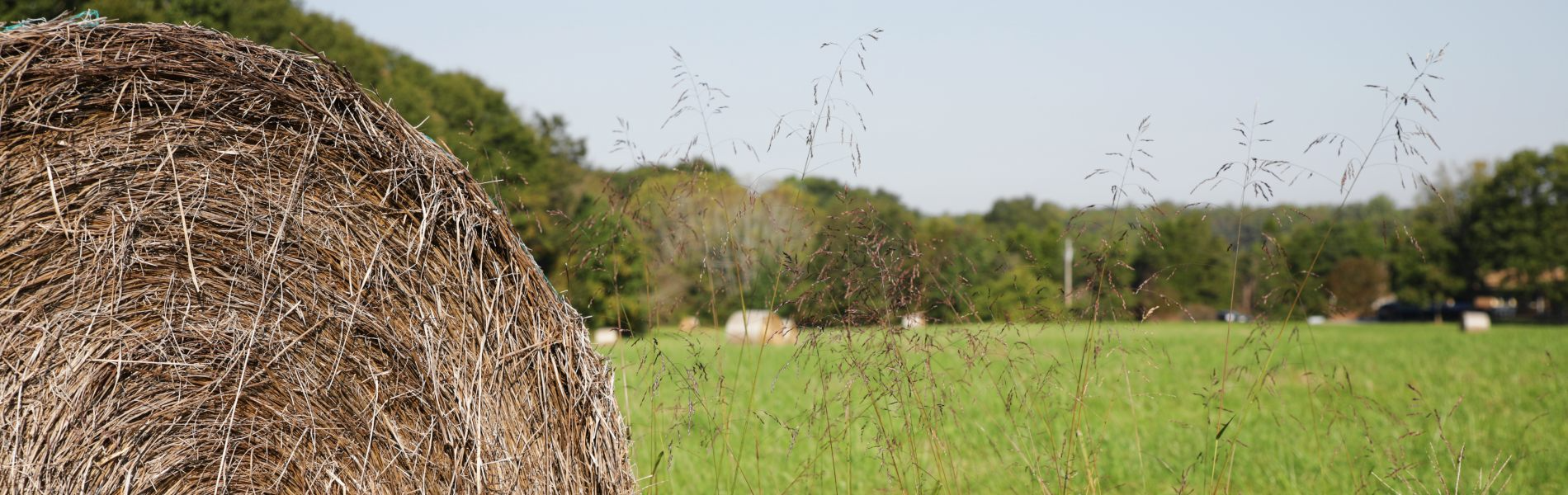 A Bale of Hay Sits Ready to be collected on Farm Land in our Community