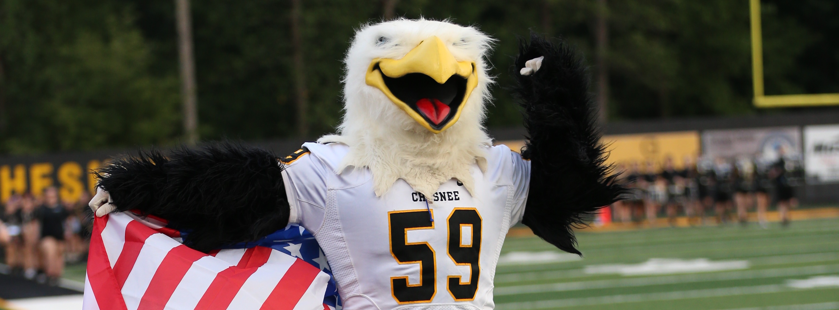 Our Chesnee Eagle