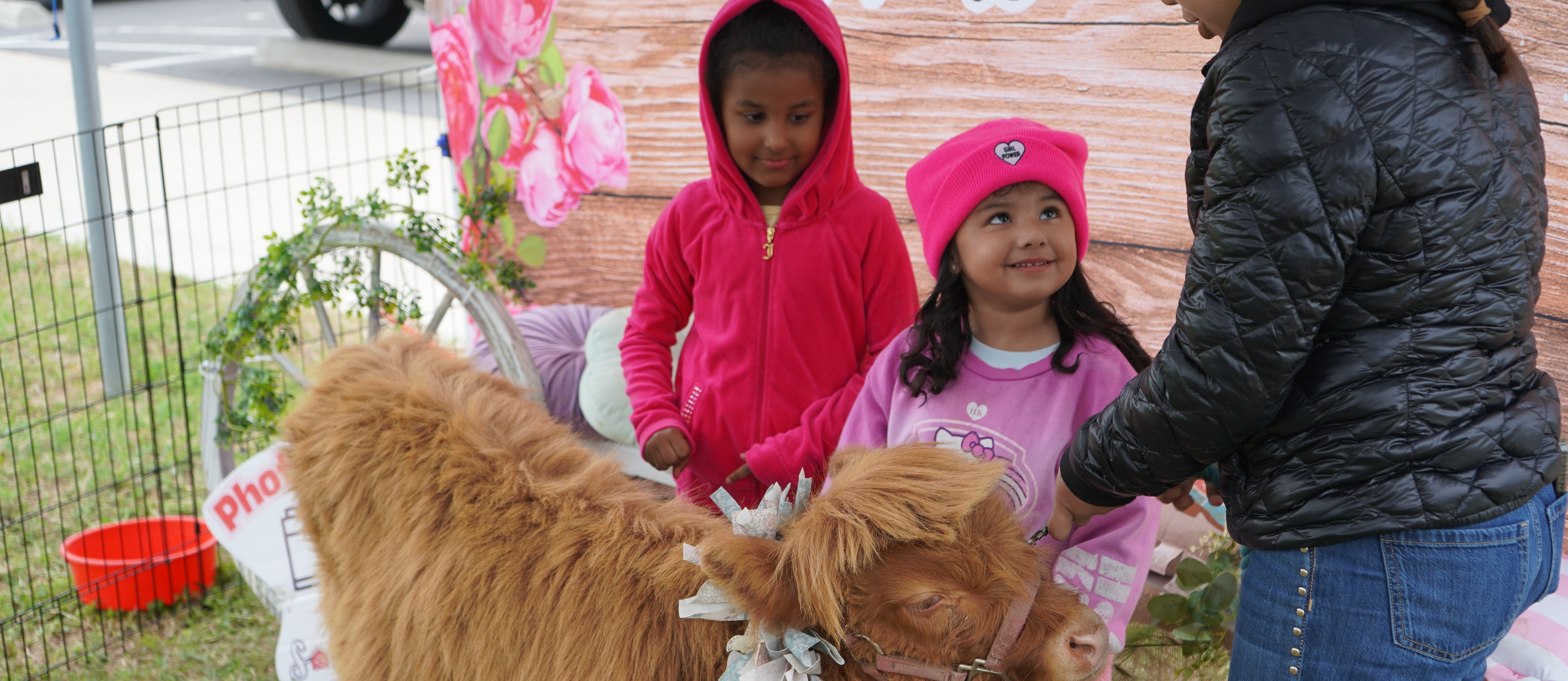 A small cow with a pink bow around its neck is being petted by a child and an adult.