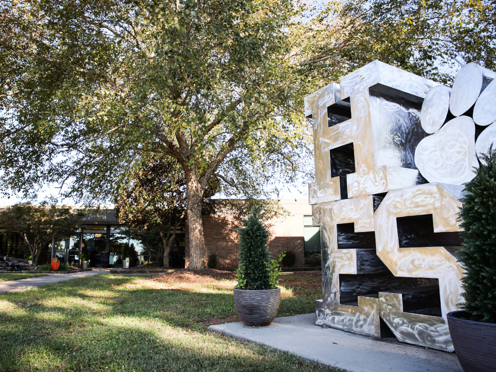 Our Beautiful Hendrix Elementary Campus