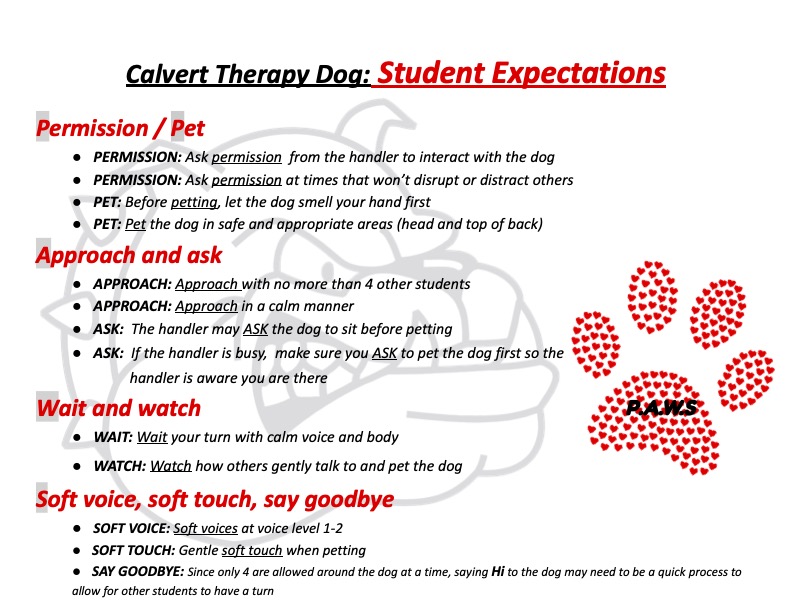 Therapy Dog Expectations