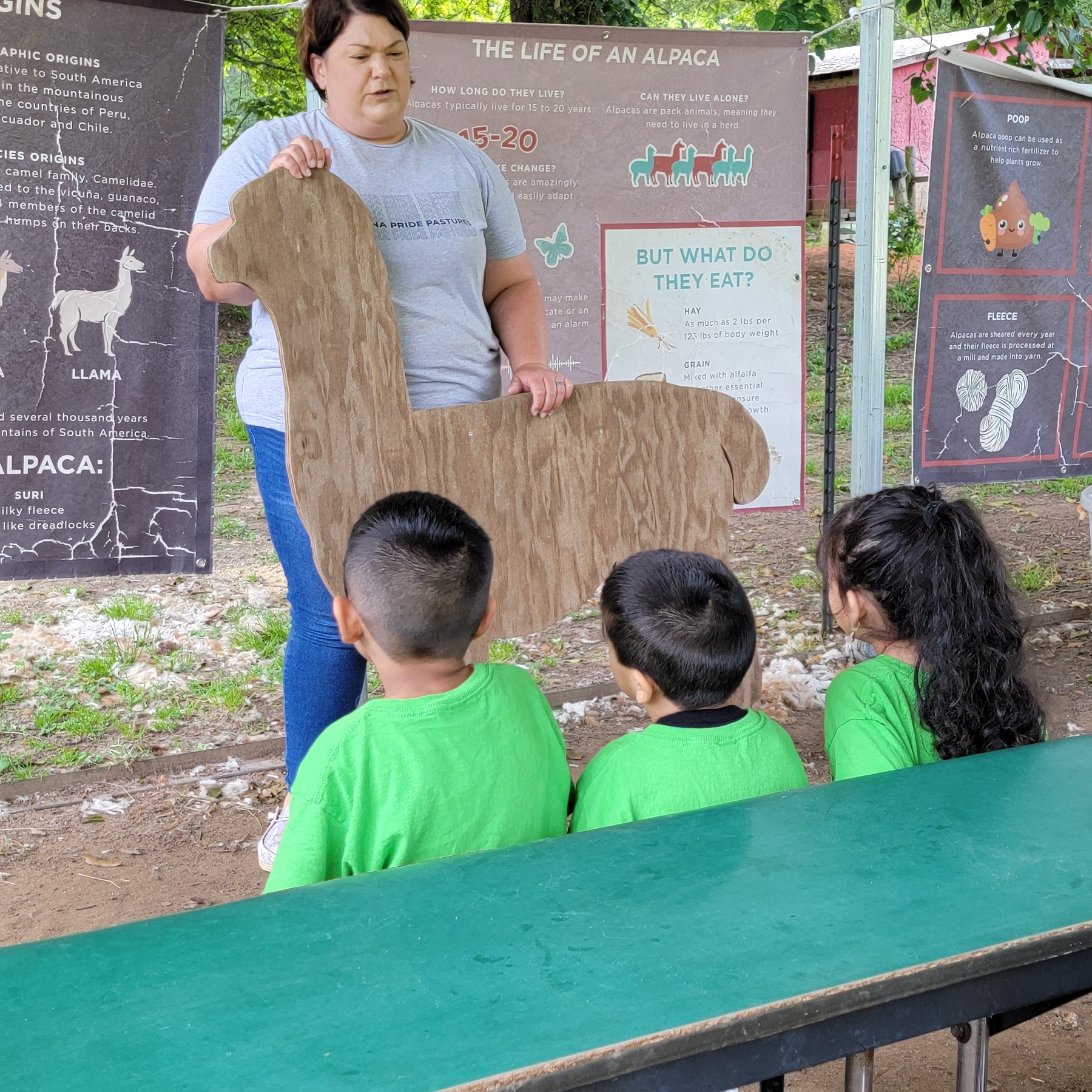 A woman holds a wooden alpaca cutout, speaking to children in green T-shirts seated under a metal canopy with alpaca informational posters in the background.