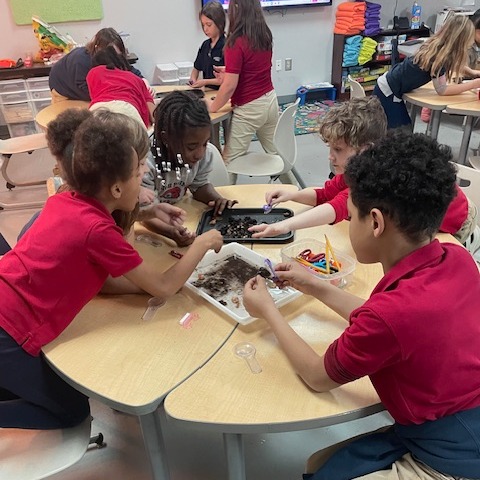 Elementary PLTW Engagement