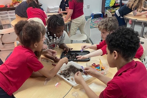 Elementary PLTW Engagement