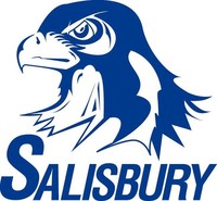 blue salisbury eagle logo with salisbury written under in clue