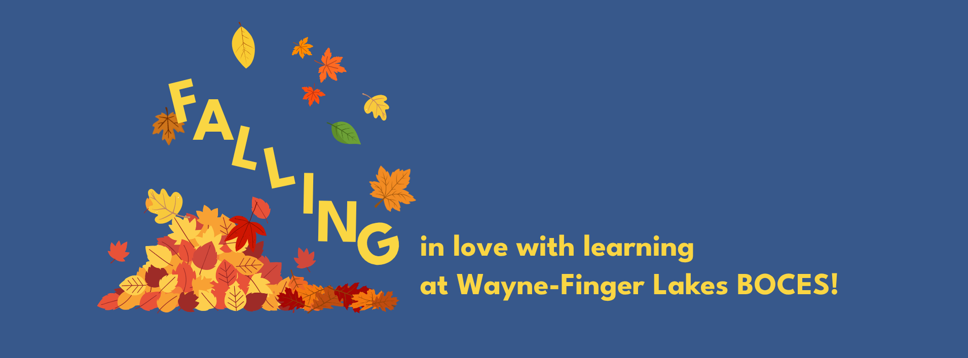 Falling in love with learning at Wayne-Finger Lakes BOCES