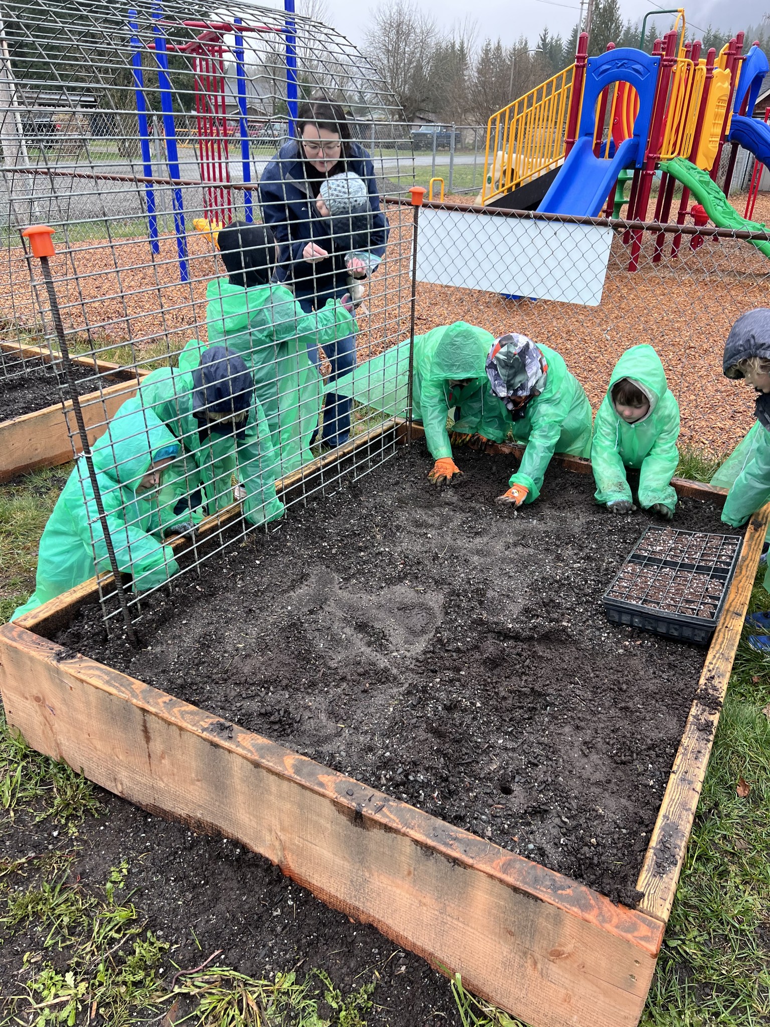 TK students gardening 