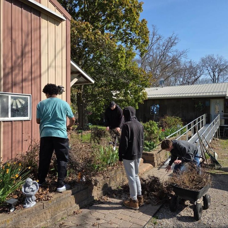 Four male students helping outdoors to remove dead bushes from landscapting along a metal barn building; They are loading the dead shrubbery into a wheelbarrow