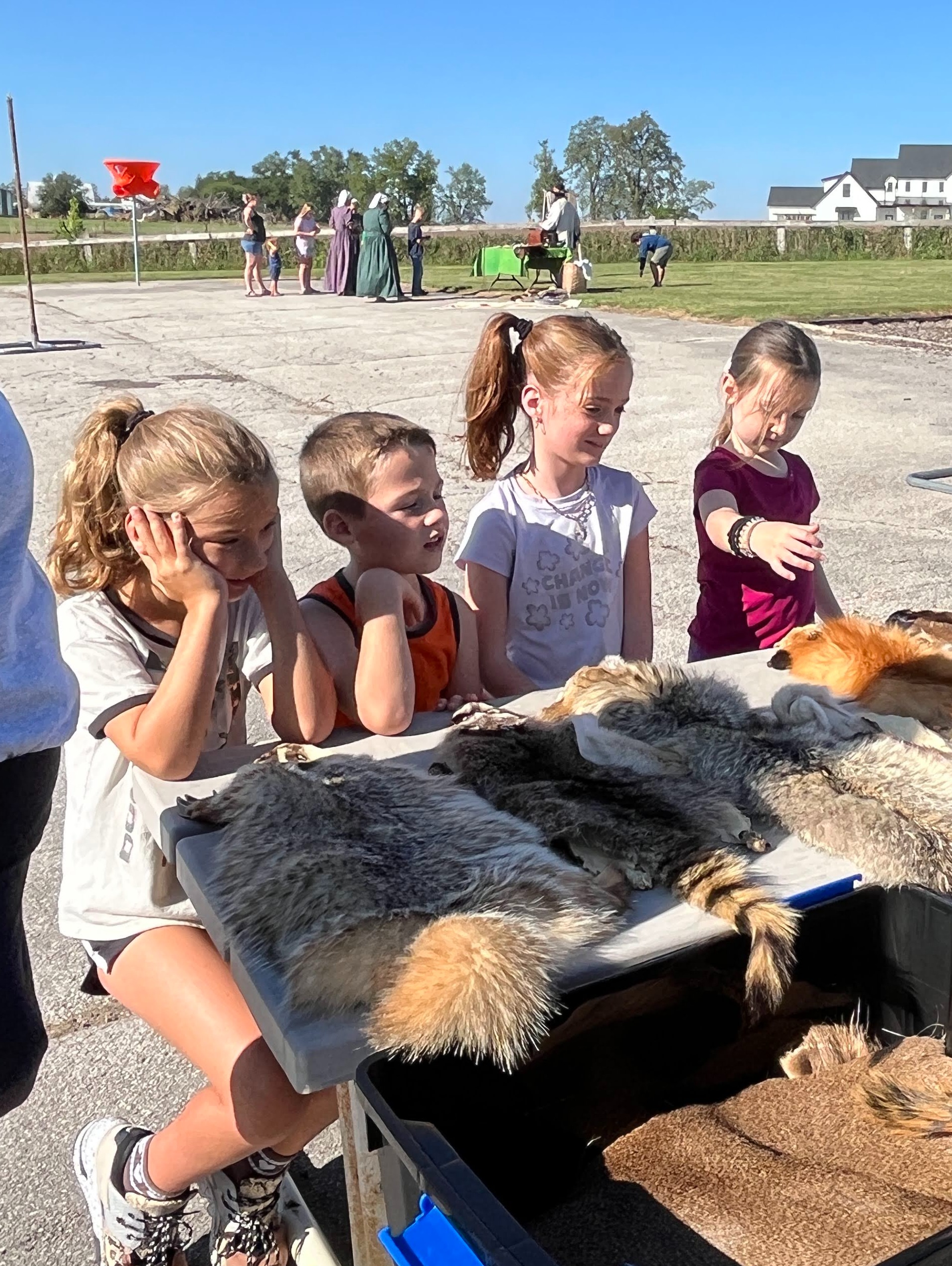 Four students standing at a table outside looking at different animal furs while the county conservationist talks about each of them