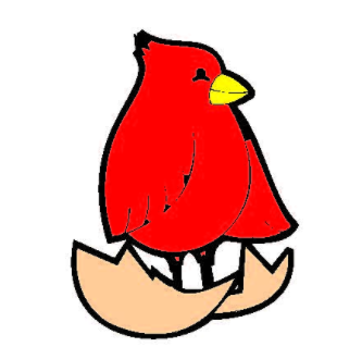 Little card
