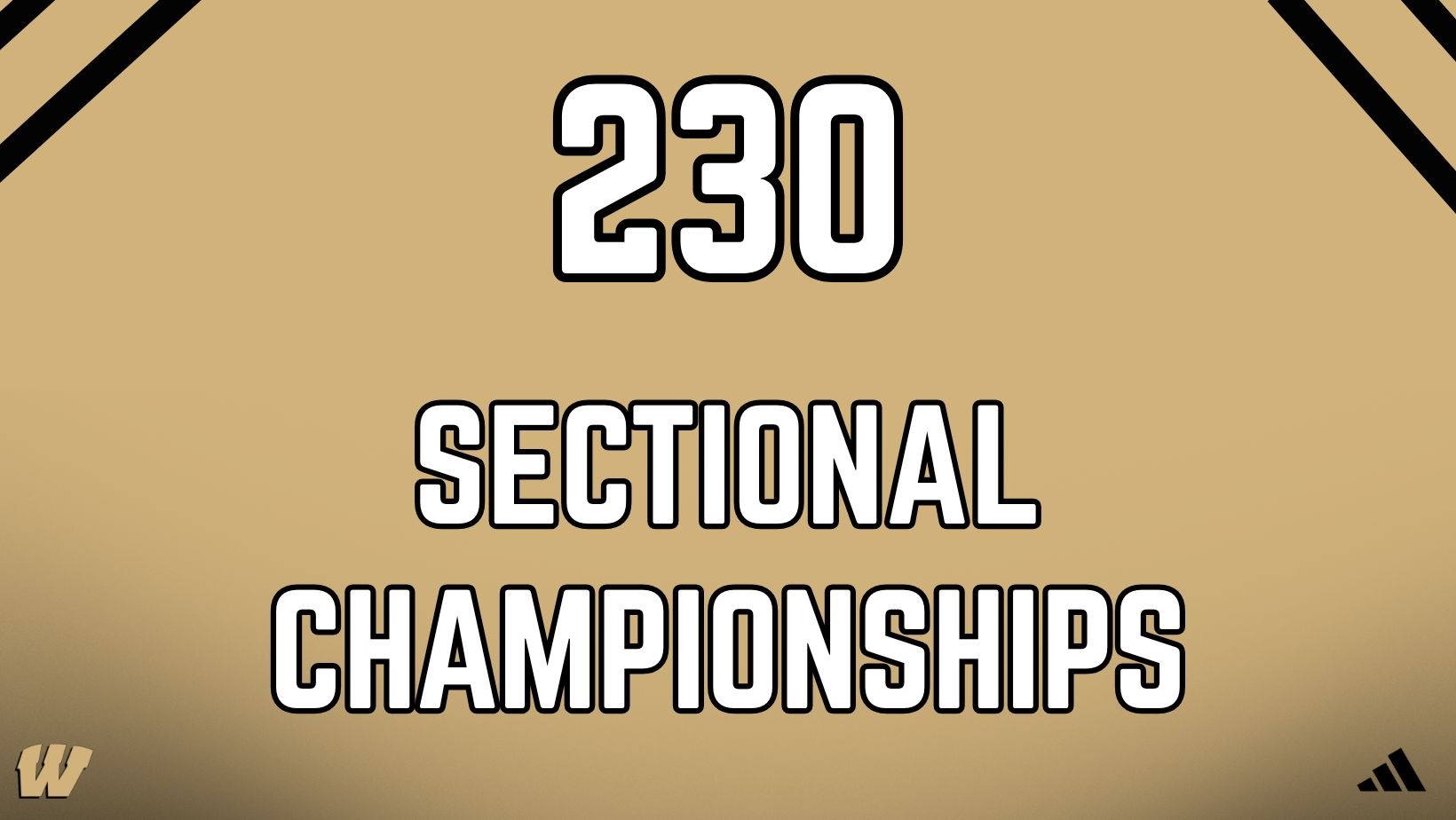 230 Sectional Championships