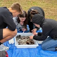 students looking at water sample in bin