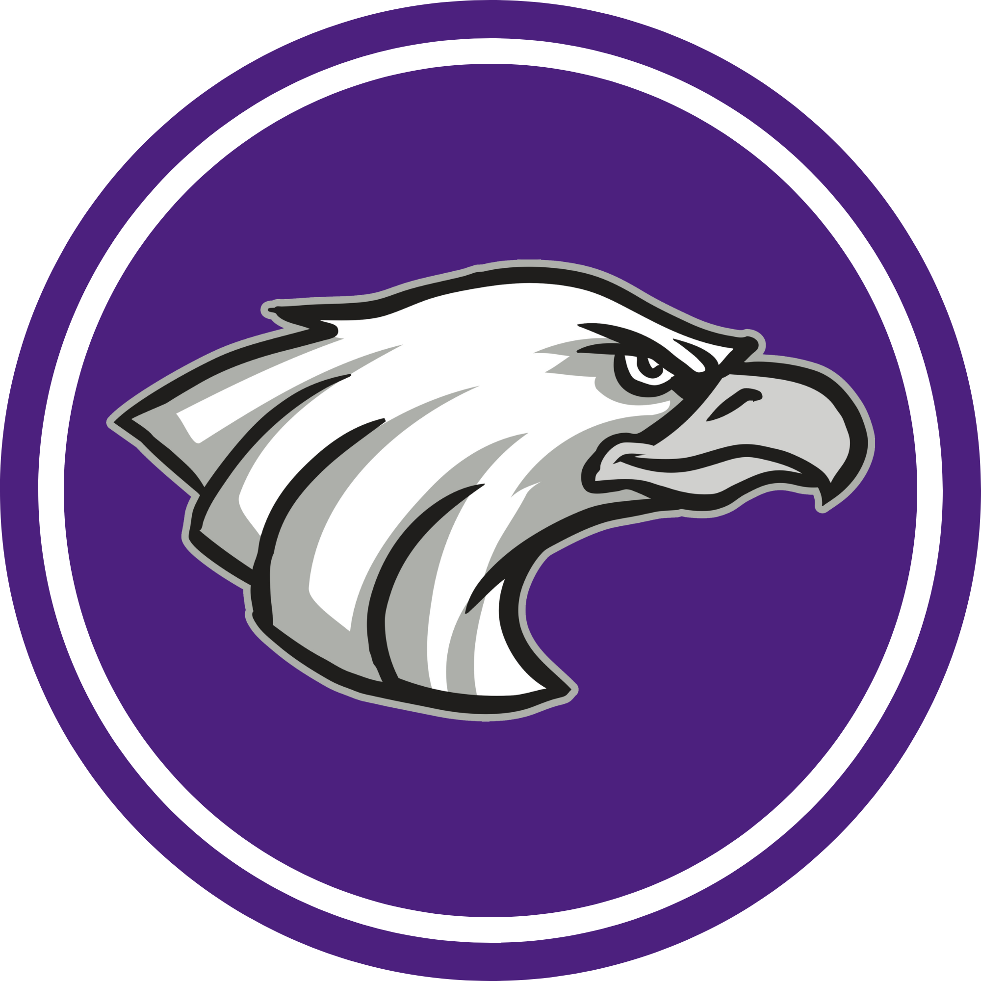 BW Eagles Logo With Purple Circle