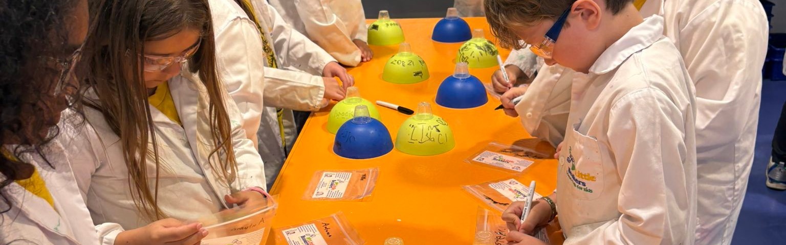 STEM trips