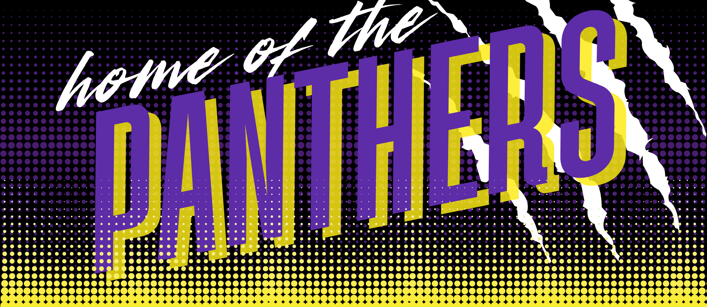 Panther Graphic