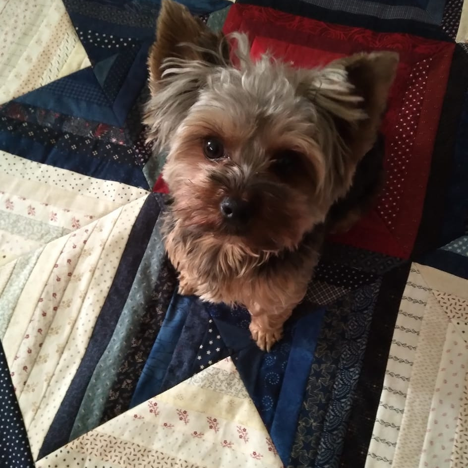 Kathy Wiss Cornelius Profile Photo