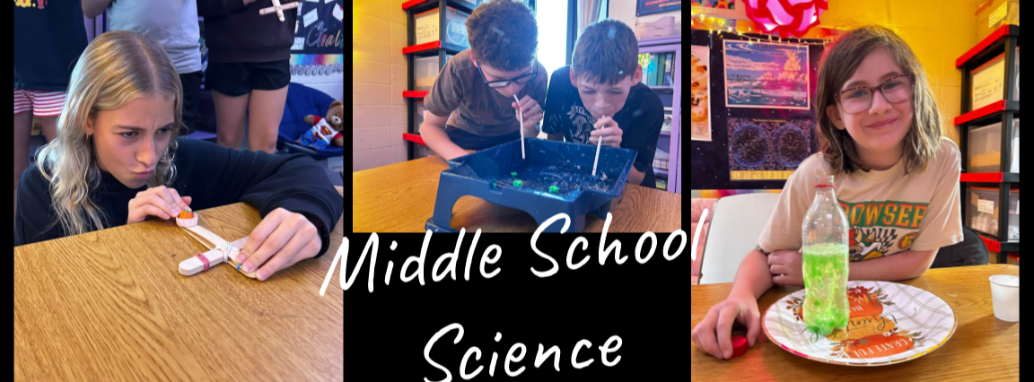 middleschoolsciencecollage