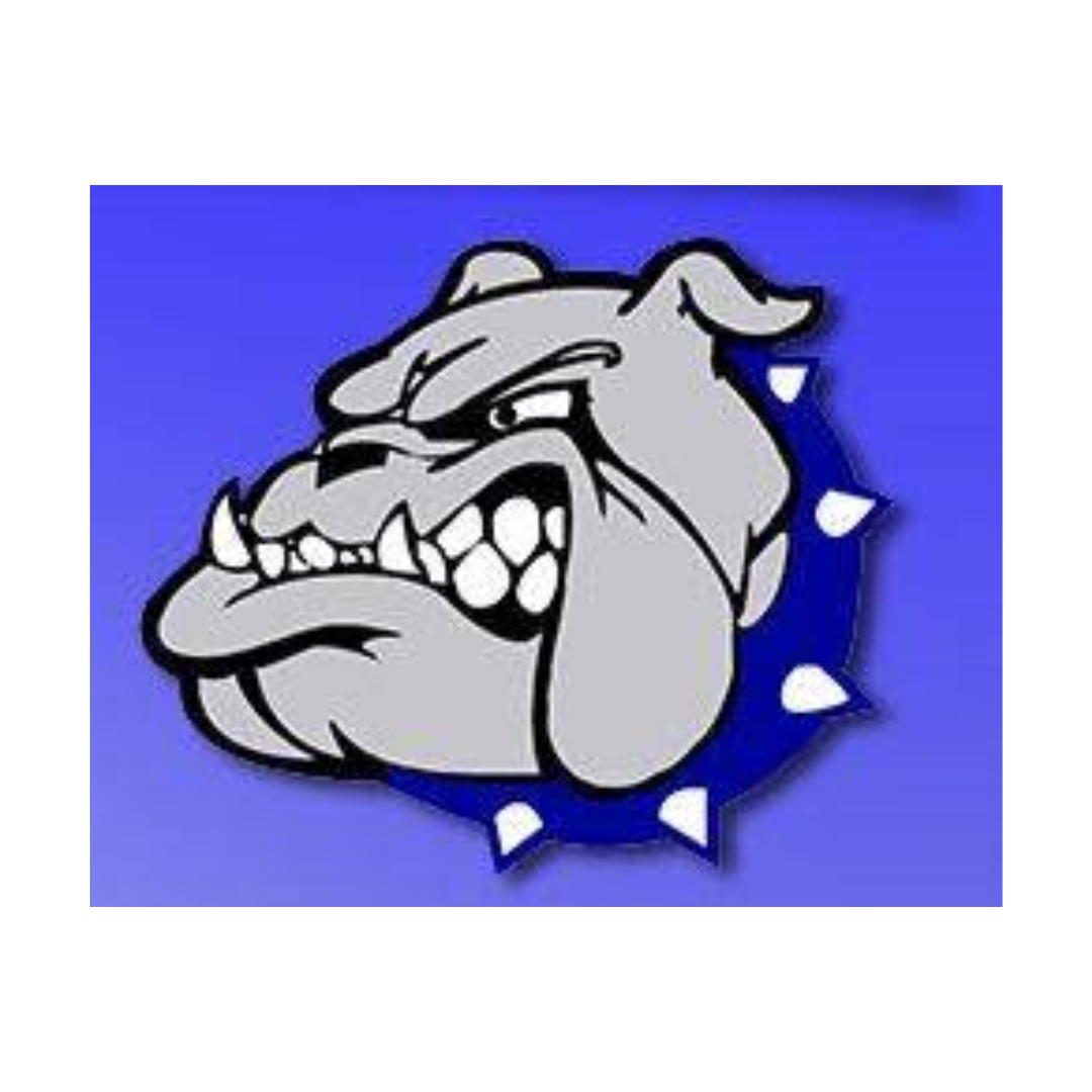 bulldog with blue collar