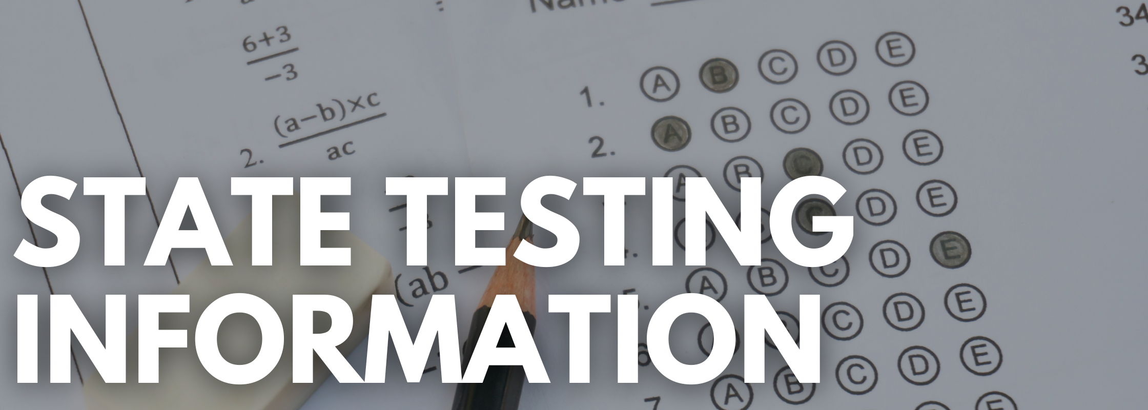 State Testing Info