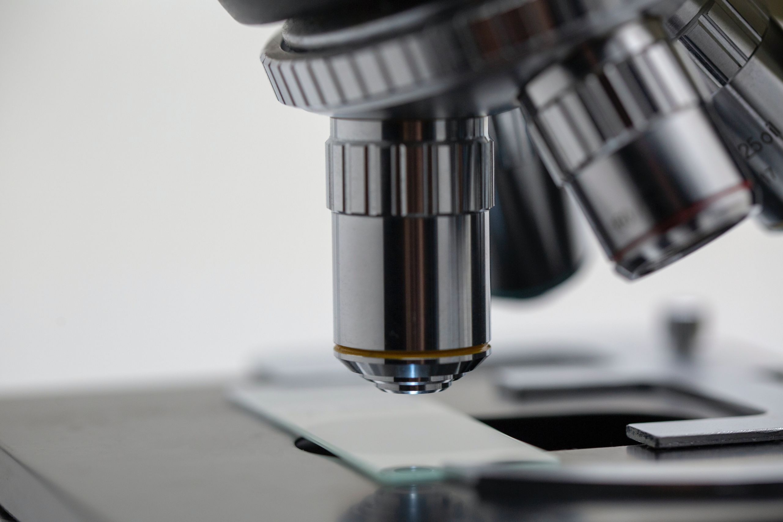 Science Page link