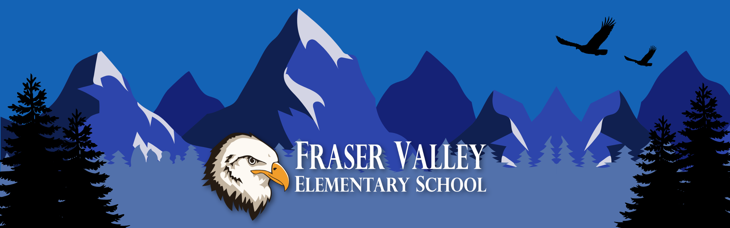 FVE SITE BANNER