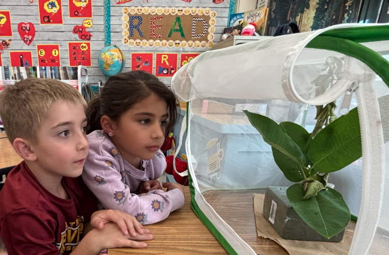 Students gardening project
