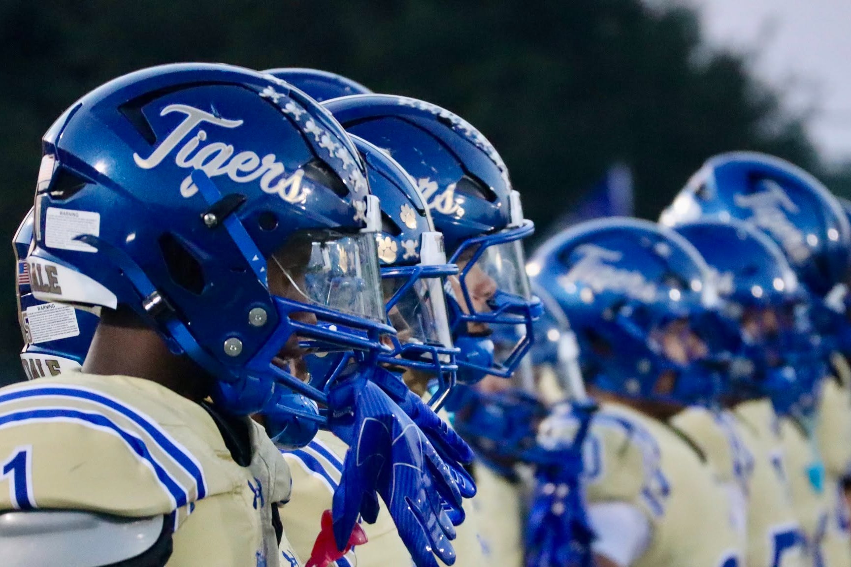 Football players with blue helmets standing in line facing the field.