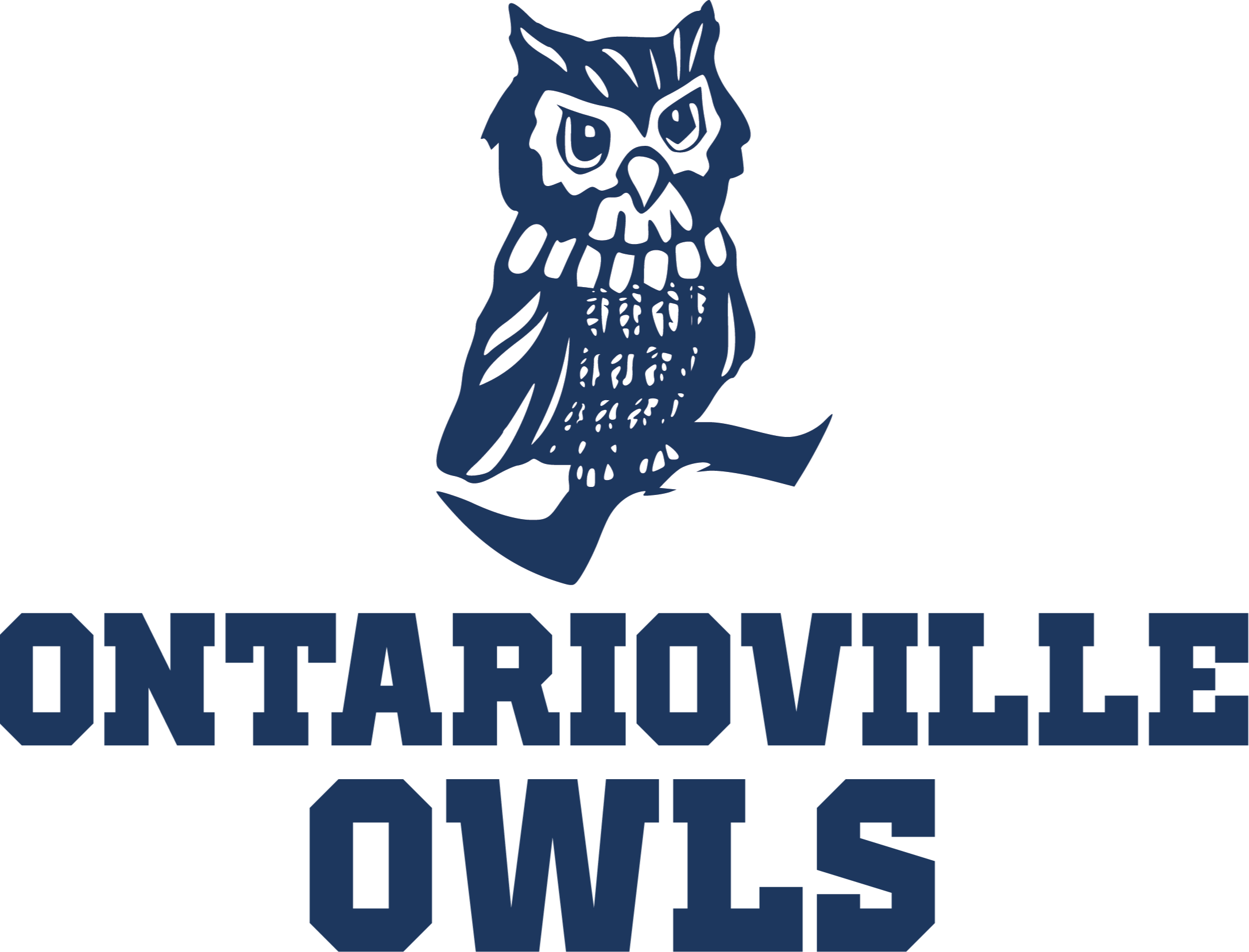 A stylized blue owl perched on a branch above the words "ONTARIOVILLE OWLS" on a black background.