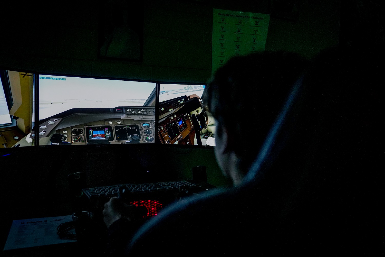 Flight Simulator