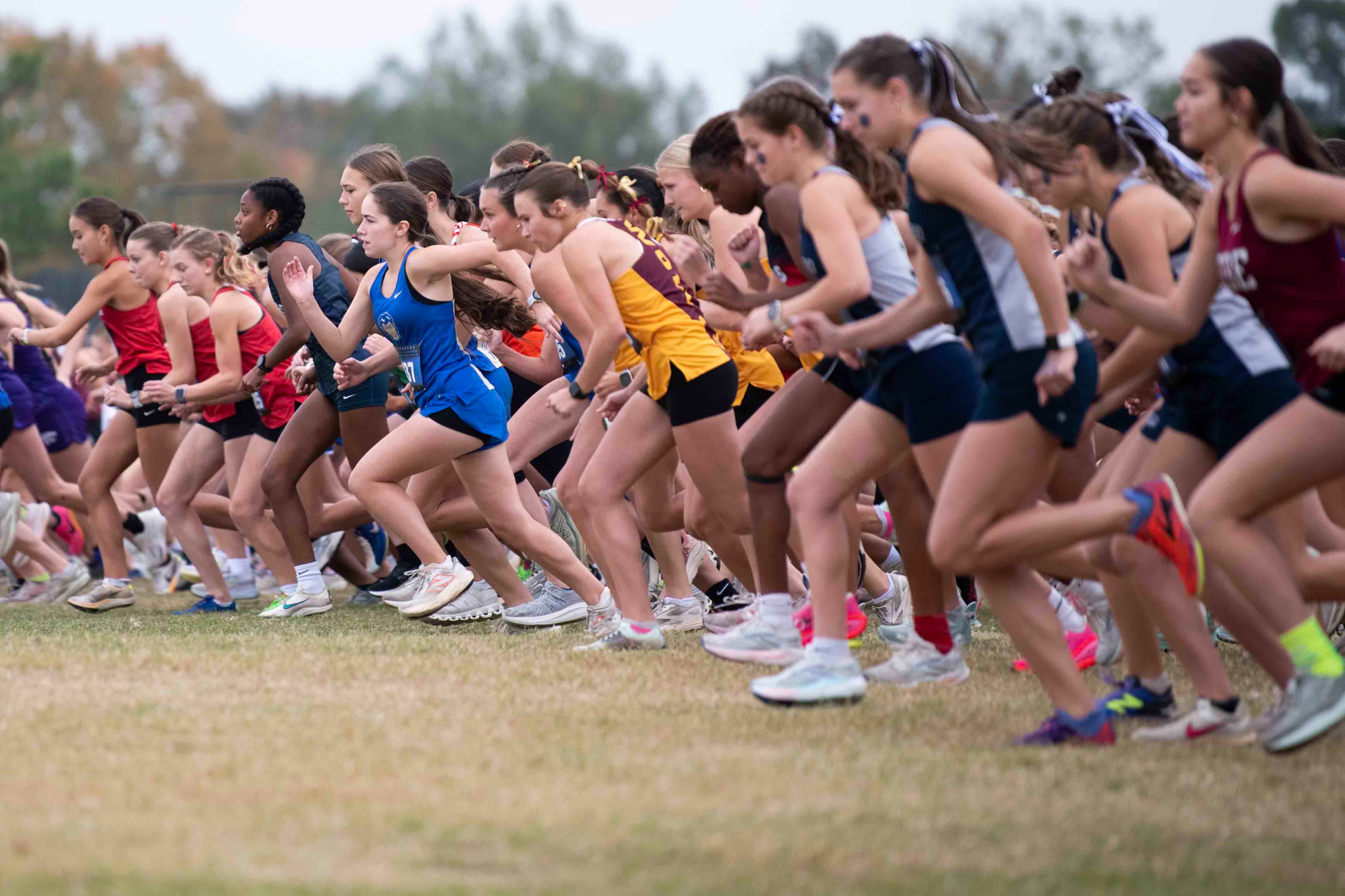 XC