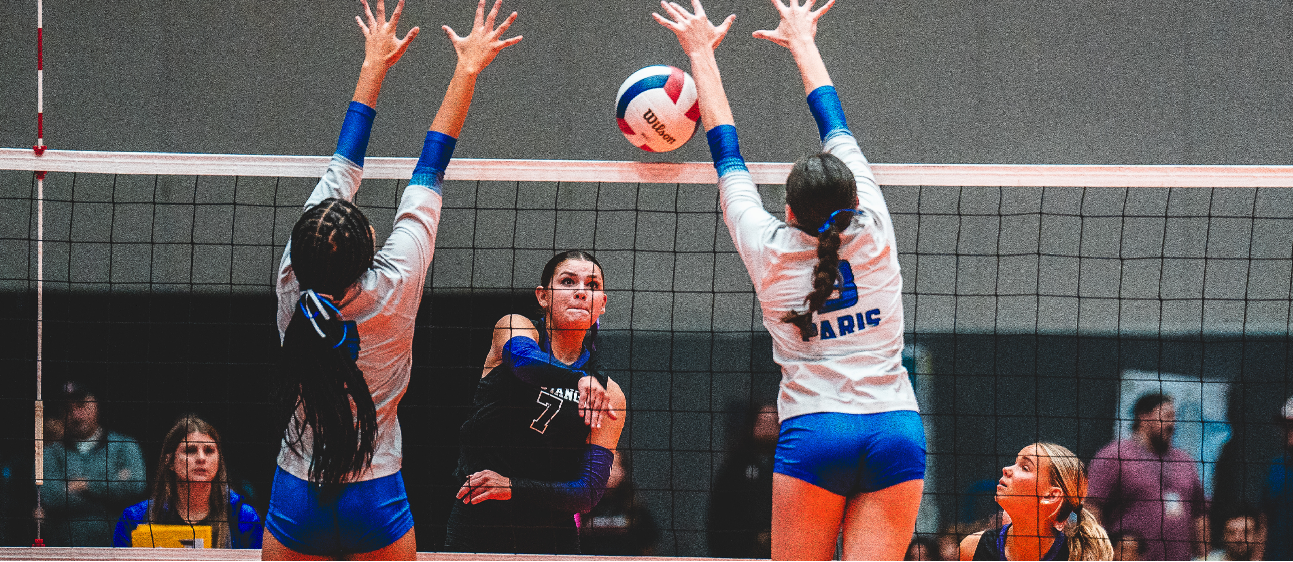 VB Scores