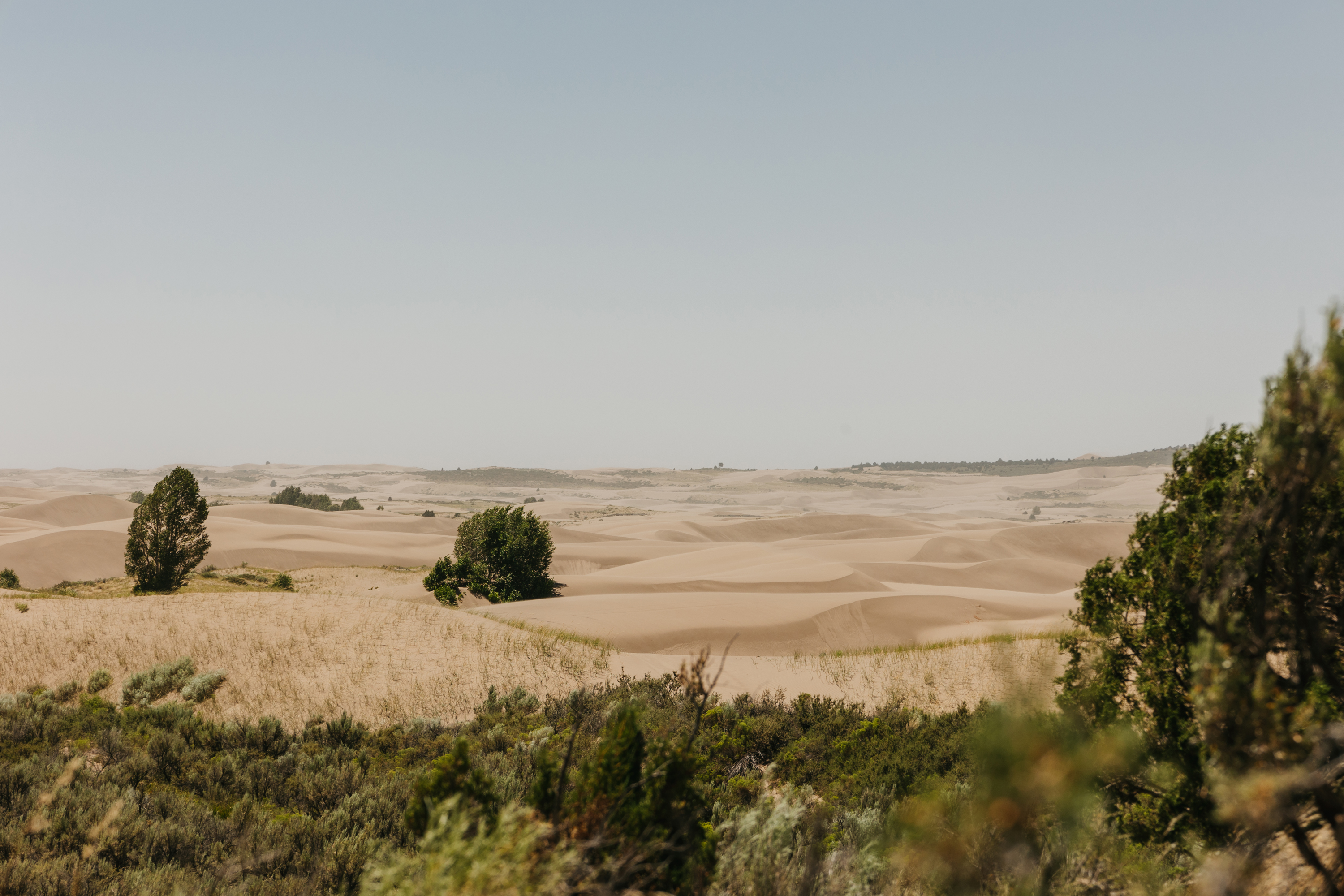 Image of the St. Anthony Sand Dunes