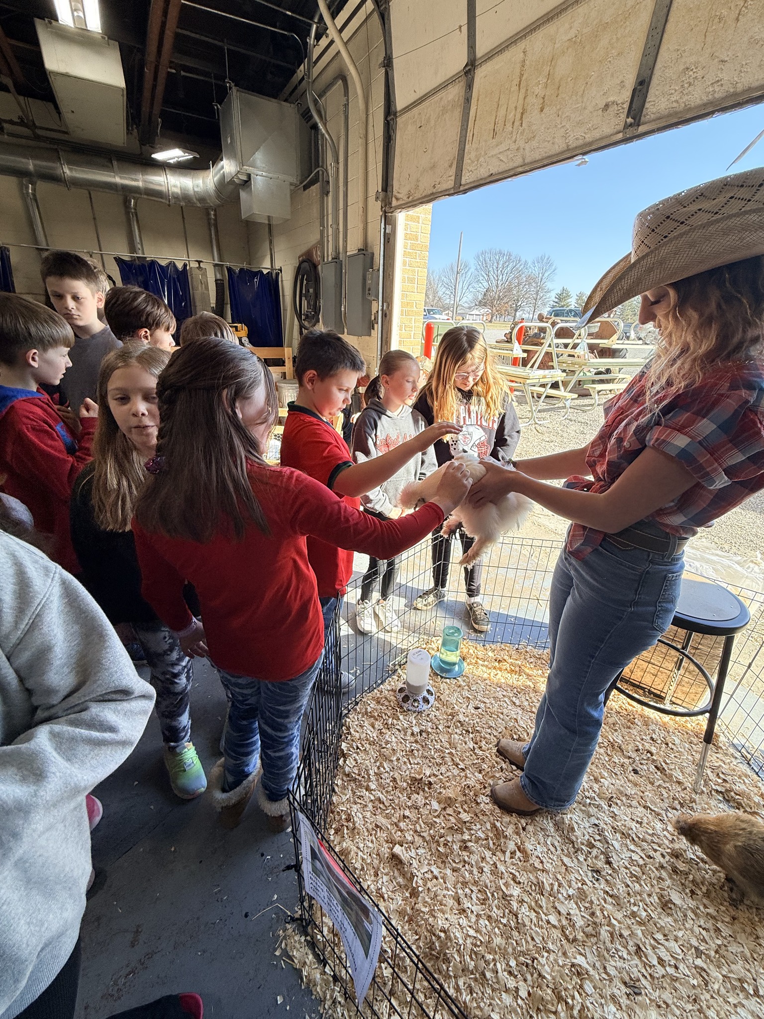 Petting Zoo