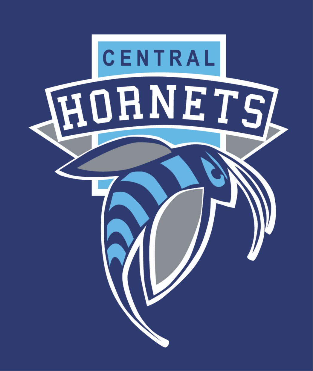A logo for the Central Hornets features a stylized hornet in blue and gray with wings and antennae on a blue background.
