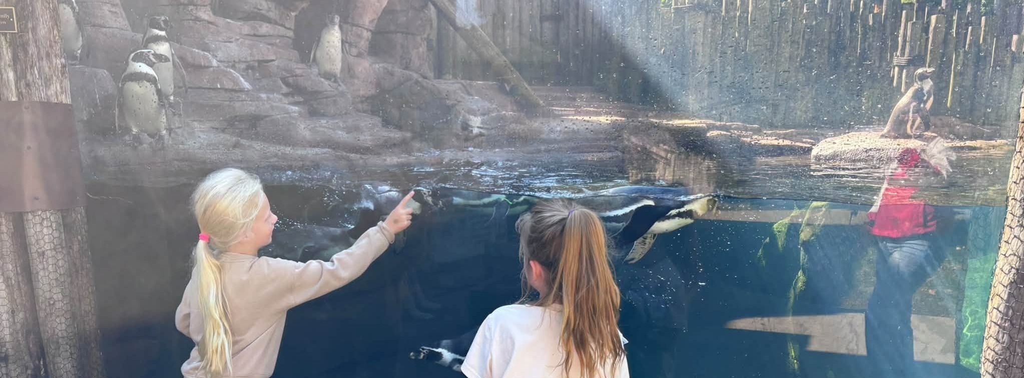 Field trip to the Zoo.
