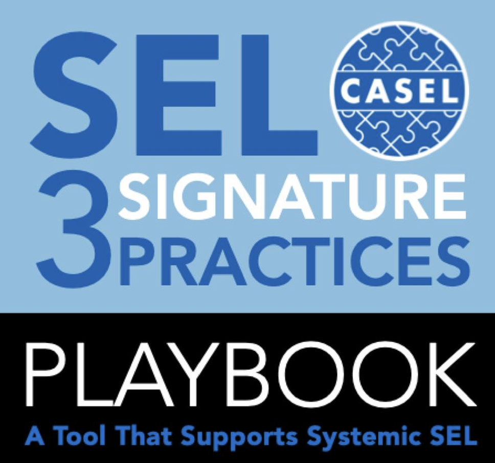 3 Signature Practice Playbook