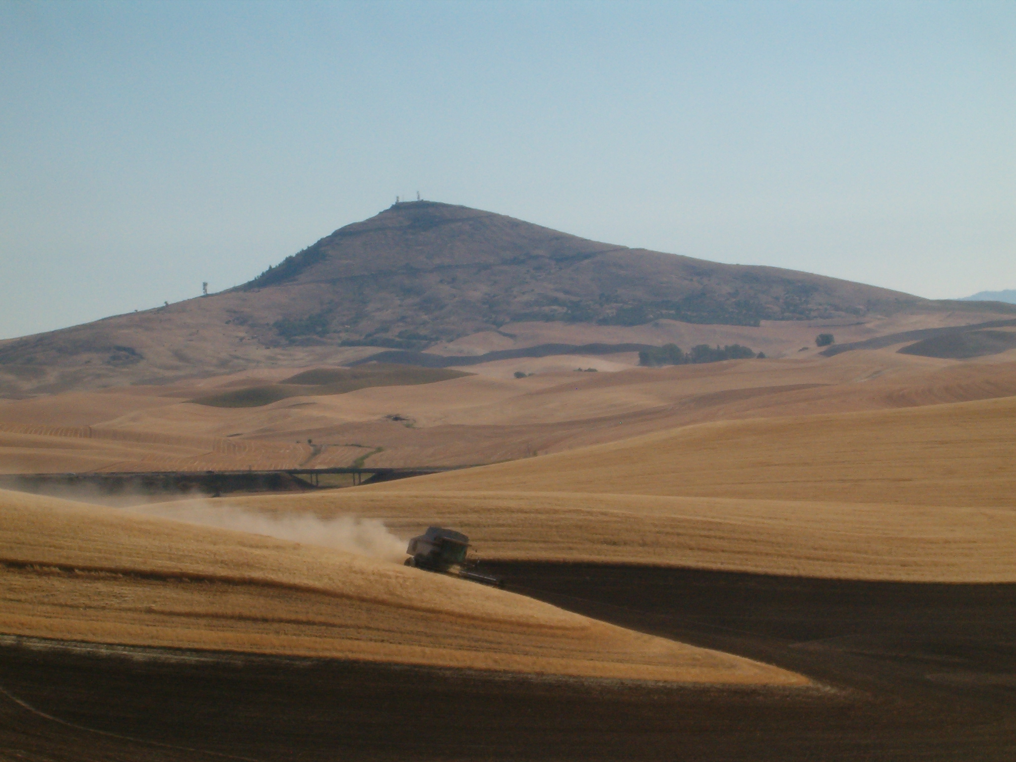 Steptoe Butte during harvest.
