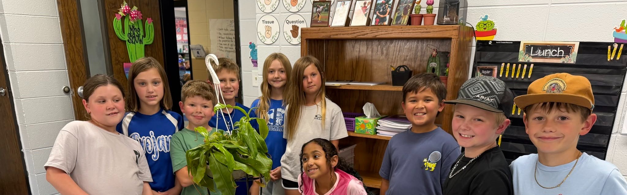 3rd Grade