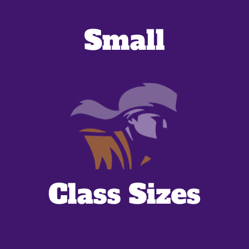 Small Class Sizes