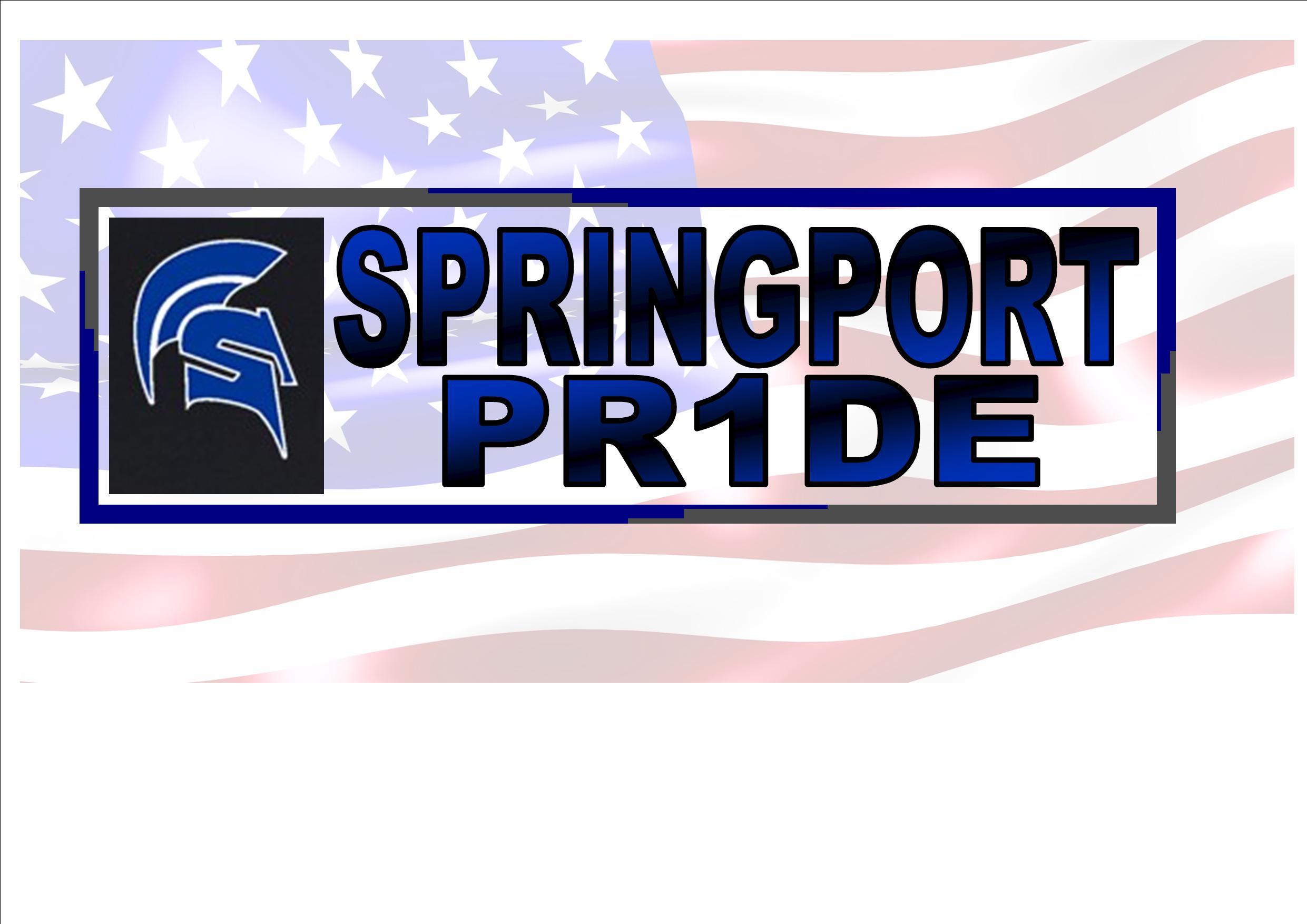 Logo with American Flag Background