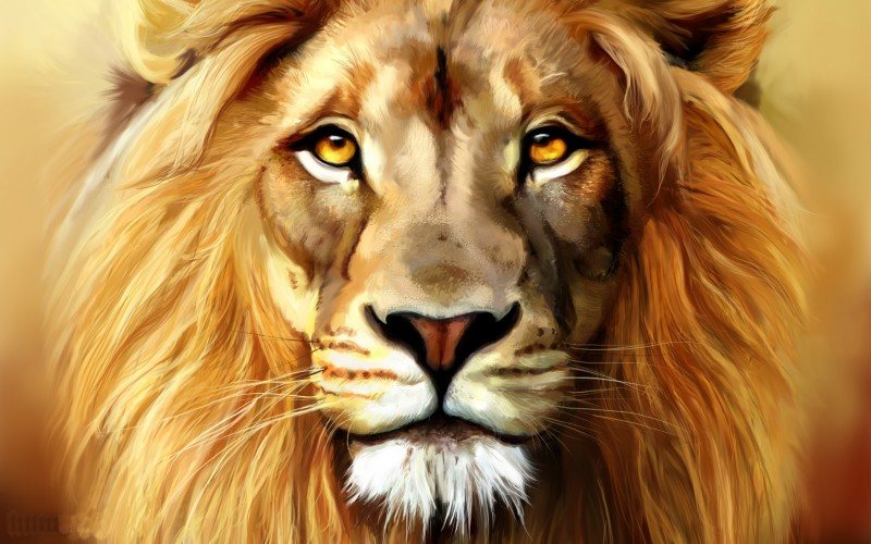 Lion Head 