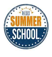 lyons summer school