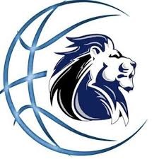 Lion head inside a basketball