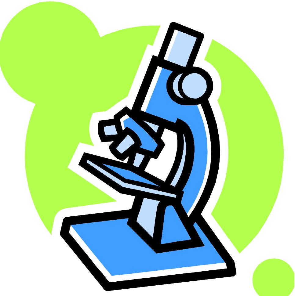 A drawing of a compound microscope
