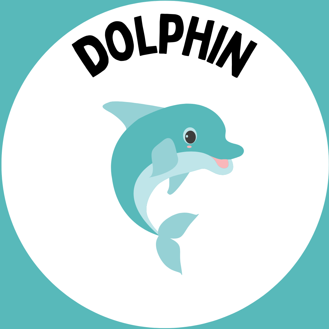 "Dolphin" with a picture of a dolphin underneath