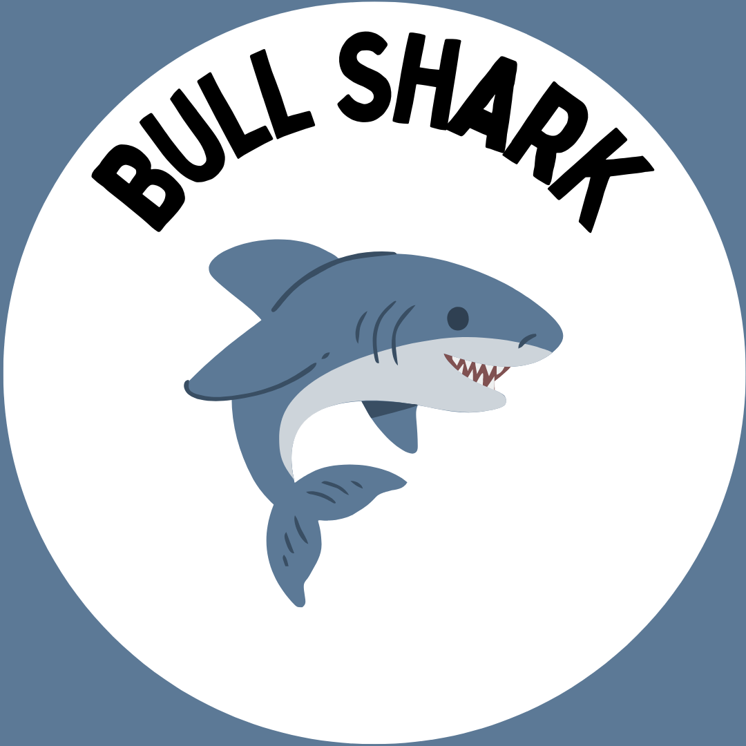 "Bull shark" with a picture of a shark underneath