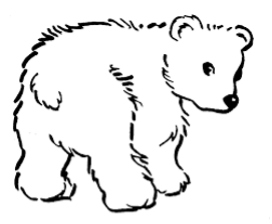 bear cub cartoon
