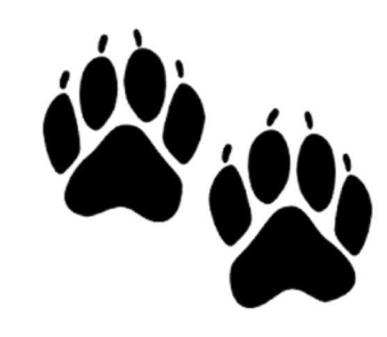 KES Mascot Black Bear Paws